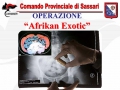 Ordinamento