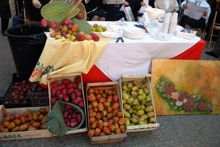 CasaSerenaFichiIndia