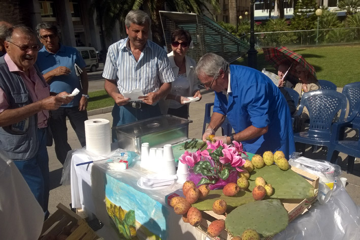 FichidIndiaCasaSerena1