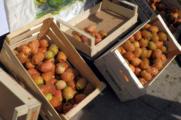 FichidIndiaCasaSerena2