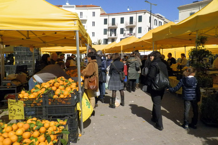 Campagna Amica Emiciclo