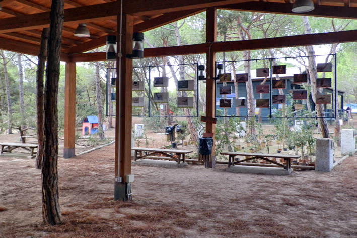 CeasProgettoAndalas2