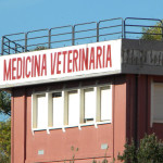 Veterinaria