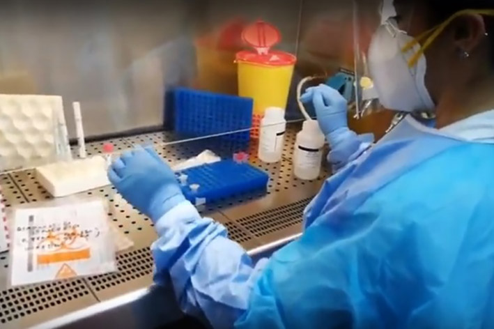 LaboratorioVirologia