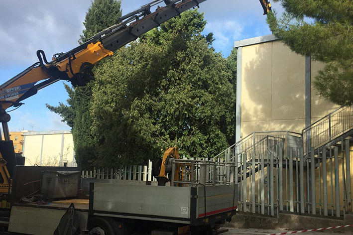 InterventoalberiscuolaviaOgliastra