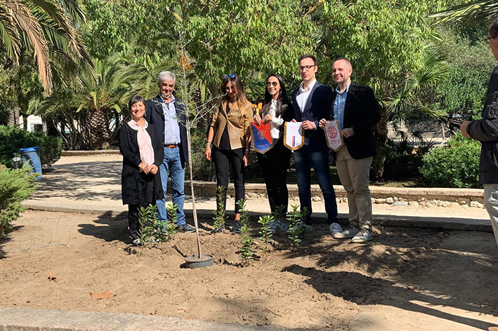 PiantumazioneparcoviaVenezia